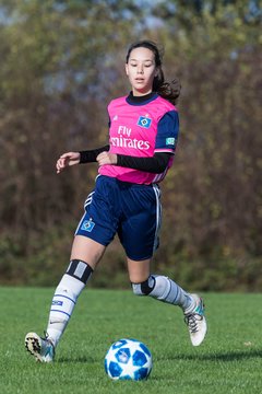 Bild 103 - B-Juniorinnen Halstenbek-Rellingen - Hamburger SV 2 : Ergebnis: 3:8